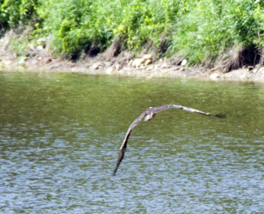 Cass River Water Trail – Plan a paddling adventure on the Cass River