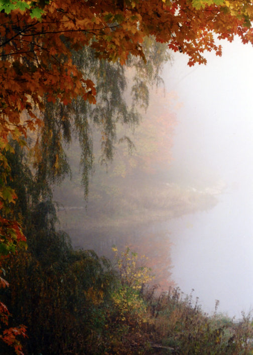 Cass River fall colors w fog great