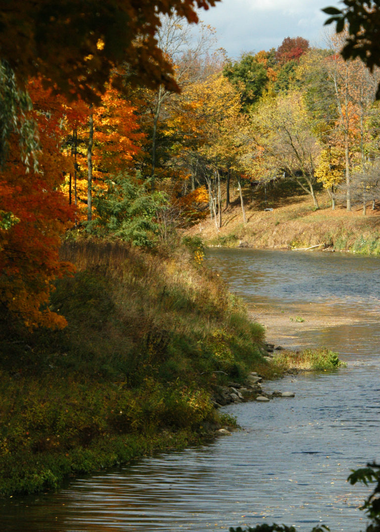 Contact – Cass River Water Trail