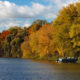 DSC_25691 CASS RIVER _ PONTOON copy copy Zachary Branigan