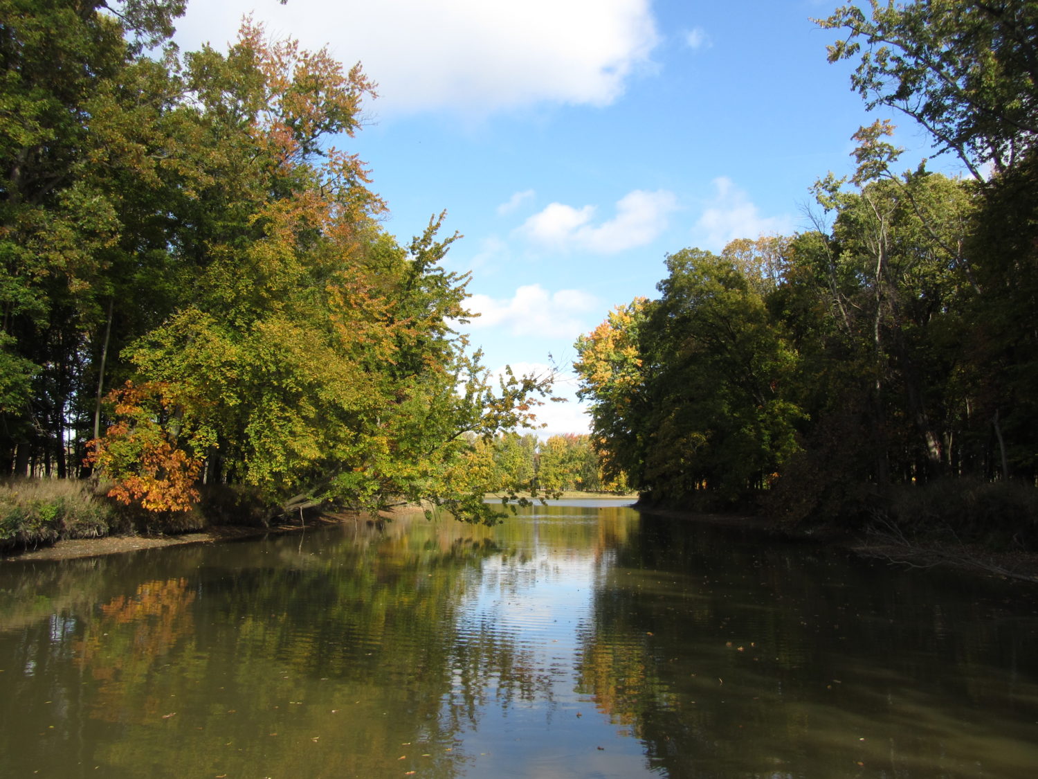TuscolatoFrankenmuth Cass River Water Trail