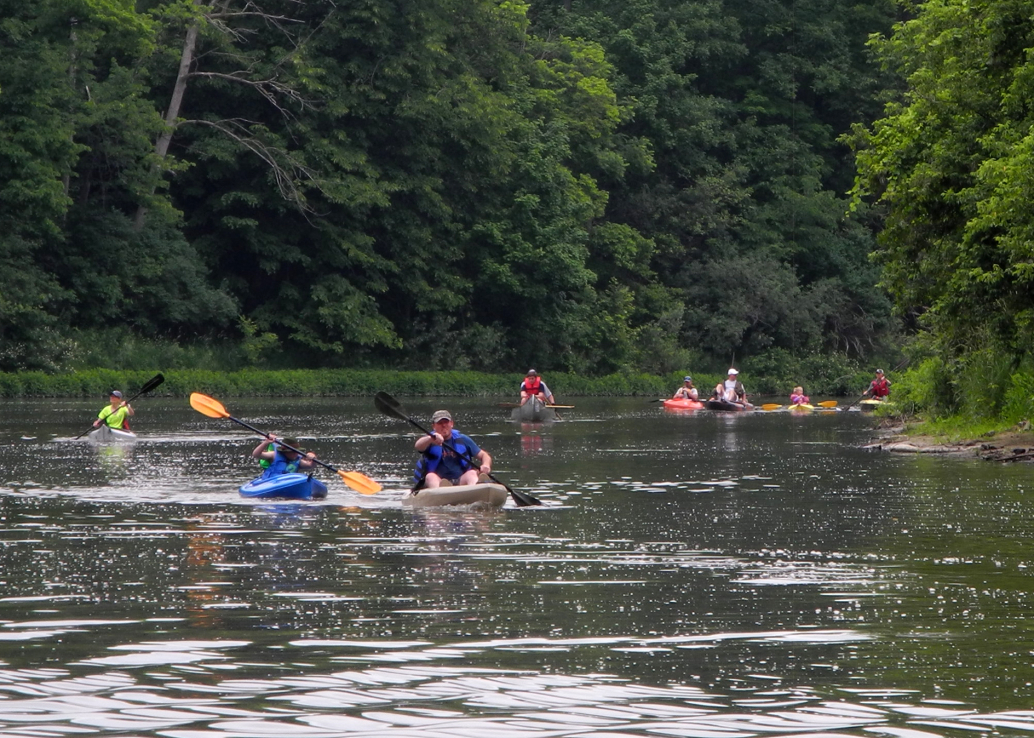 TuscolatoFrankenmuth Cass River Water Trail