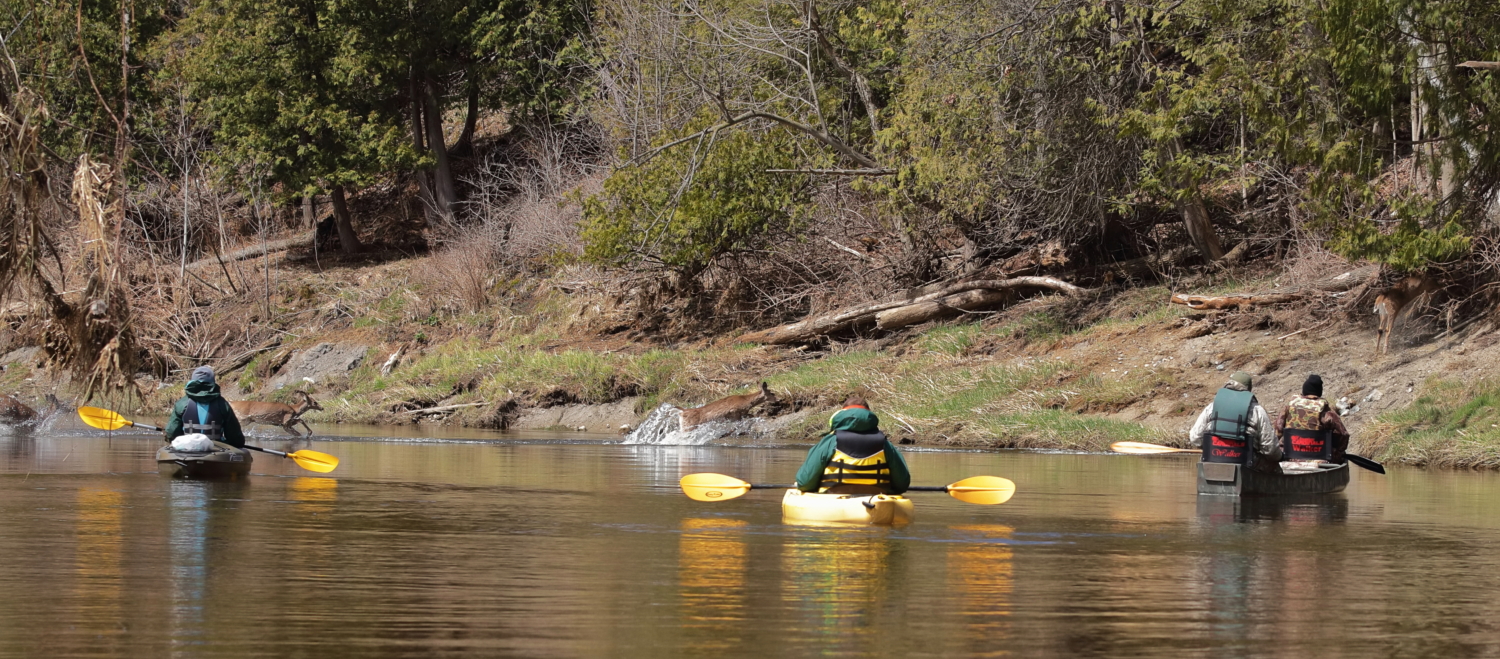 M46BridgetoVassar Cass River Water Trail